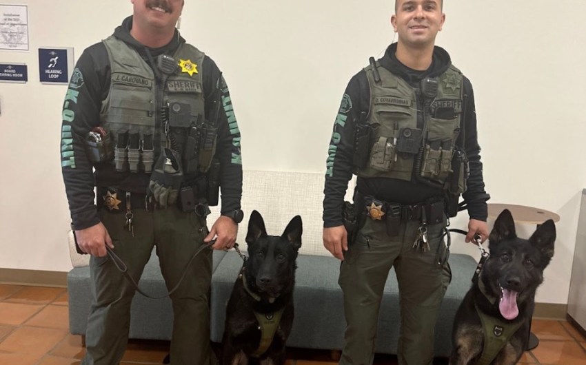 Santa Barbara Sheriff’s Office Welcomes New K-9 Recruits